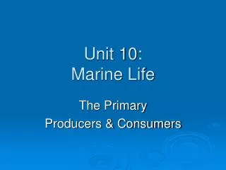 Unit 10: Marine Life