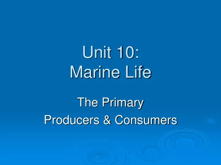 unit 10 marine life