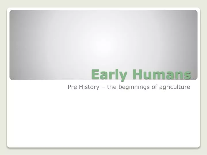 early humans