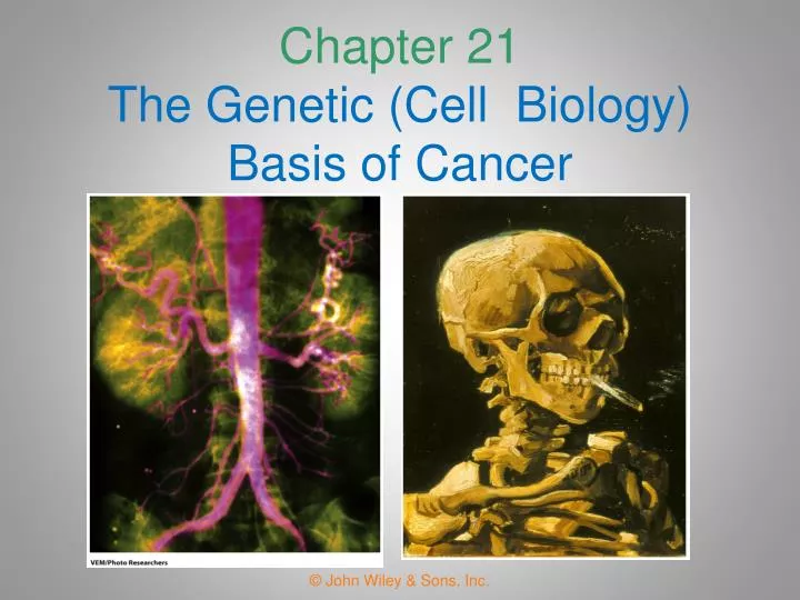 chapter 21 the genetic cell biology basis of cancer