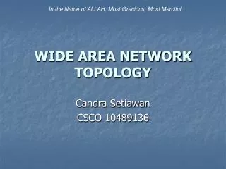 WIDE AREA NETWORK TOPOLOGY