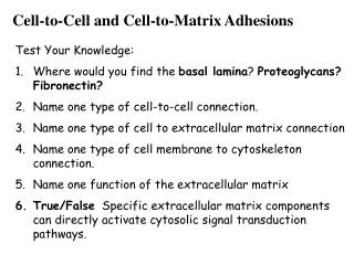 Cell-to-Cell and Cell-to-Matrix Adhesions