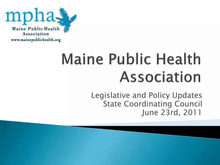 maine public health association