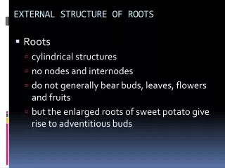 EXTERNAL STRUCTURE OF ROOTS