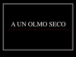 a un olmo seco