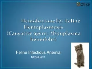 Hemobartonella / Feline Hemoplasmosis (Causative agent: Mycoplasma hemofelis )