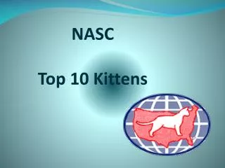 NASC Top 10 Kittens