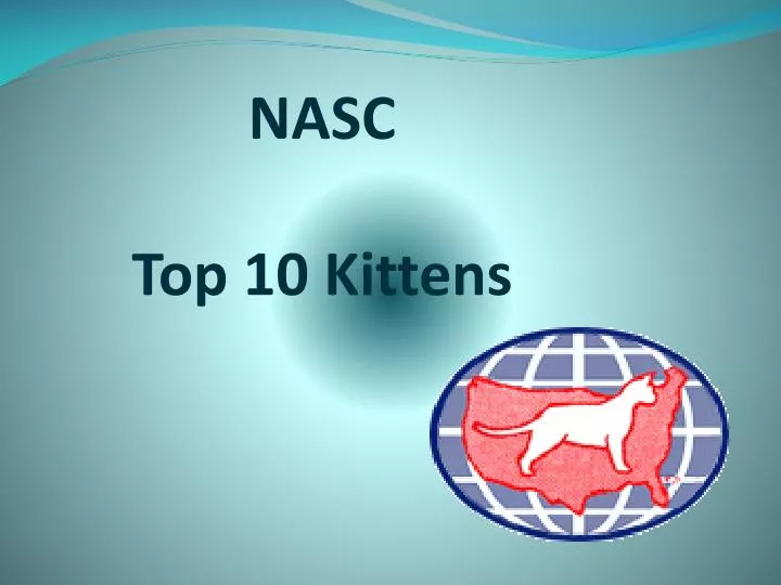 nasc top 10 kittens