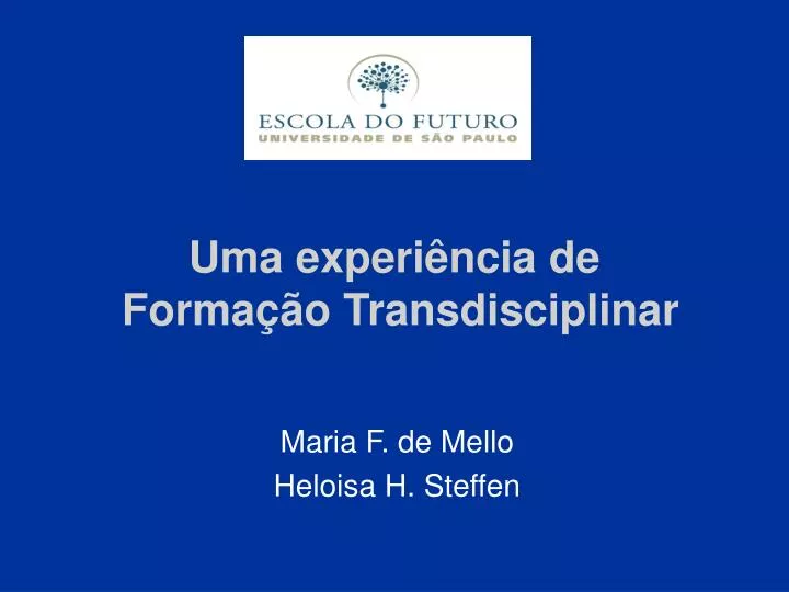 uma experi ncia de forma o transdisciplinar