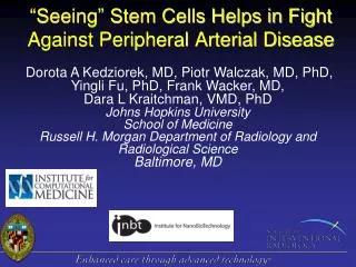 “Seeing” Stem Cells Helps in Fight Against Peripheral Arterial Disease