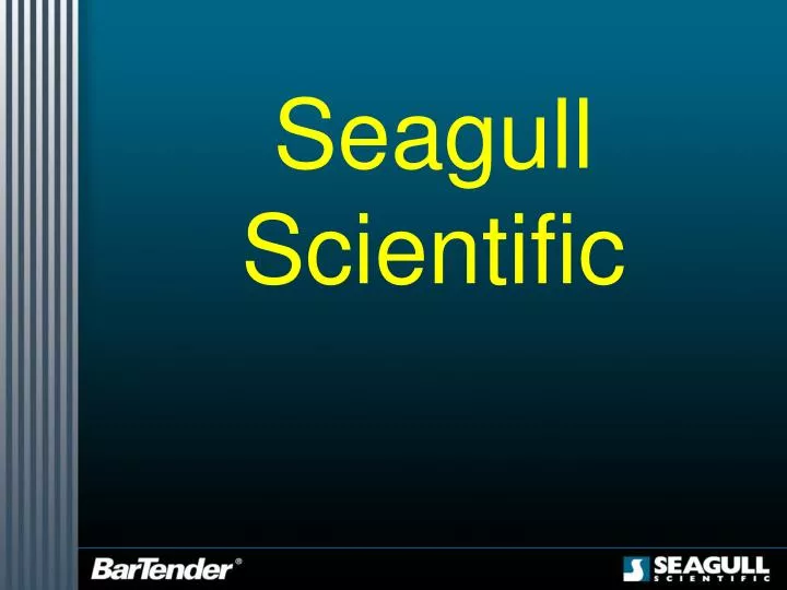 seagull scientific