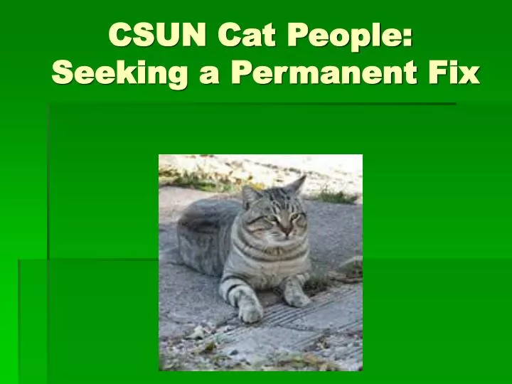 csun cat people seeking a permanent fix