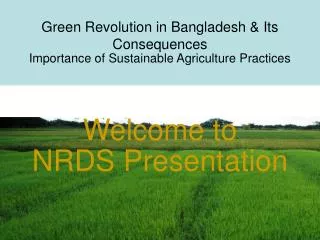 Green Revolution in Bangladesh &amp; Its Consequences Importance of Sustainable Agriculture Practices
