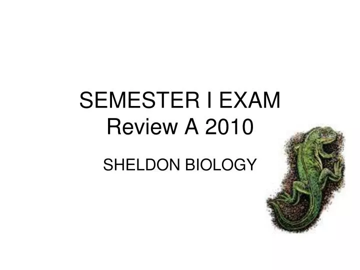 semester i exam review a 2010