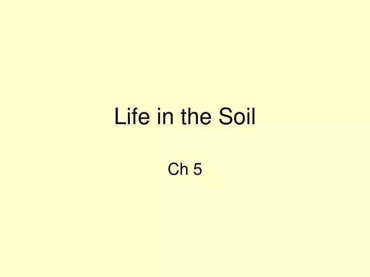 life in the soil