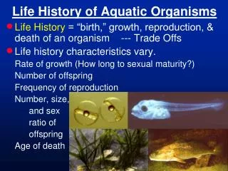 life history of aquatic organisms