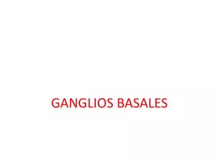 ganglios basales