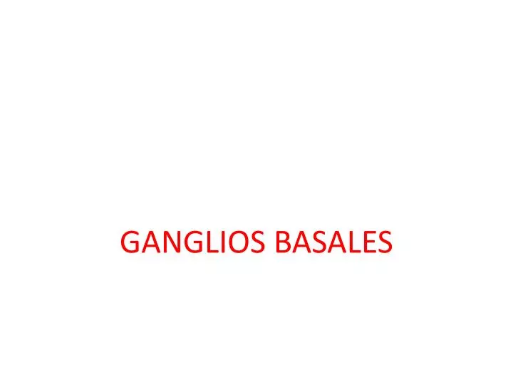 ganglios basales