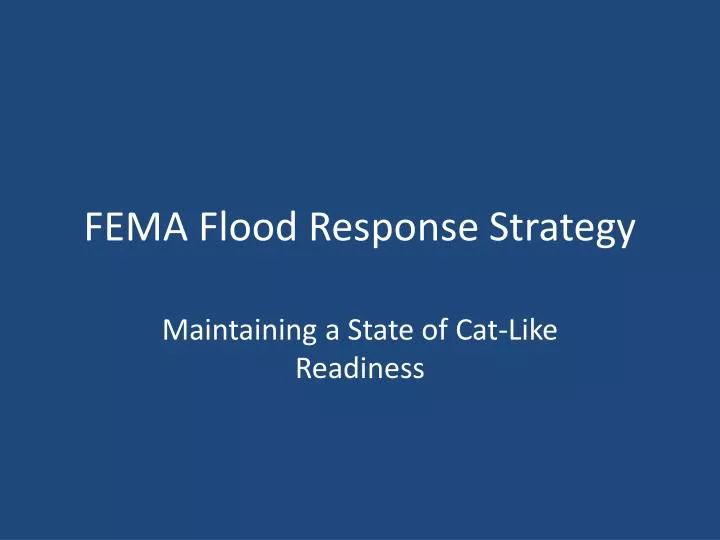 fema flood response strategy