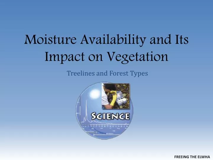 moisture availability and its impact on vegetation