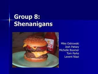 Group 8: Shenanigans