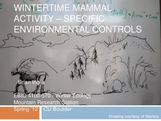 Wintertime Mammal Activity – SPECIFIC Environmental Controls