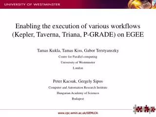 Enabling the execution of various workflows (Kepler, Taverna, Triana, P-GRADE) on EGEE
