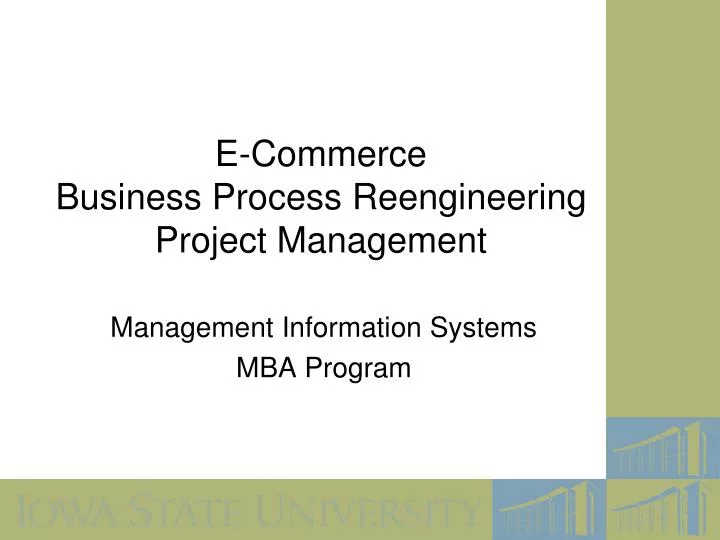 e commerce business process reengineering project management