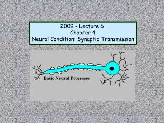 2009 - Lecture 6 Chapter 4 Neural Condition: Synaptic Transmission