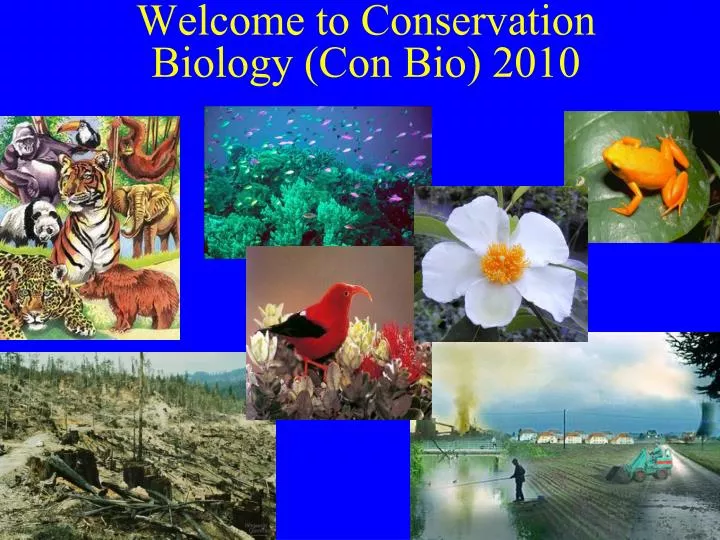 welcome to conservation biology con bio 2010