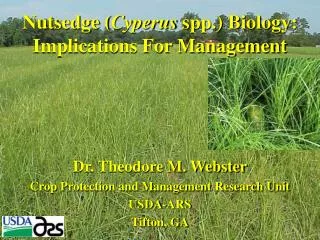 Nutsedge ( Cyperus spp.) Biology: Implications For Management