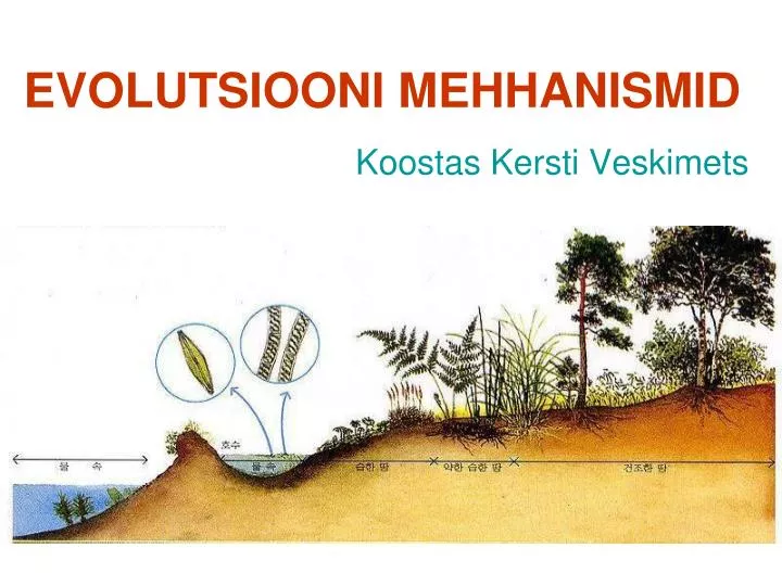 evolutsiooni mehhanismid