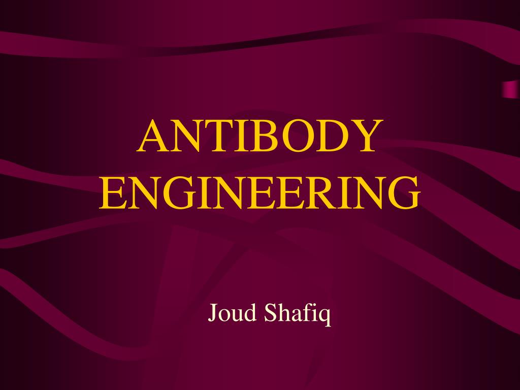 PPT - ANTIBODY ENGINEERING PowerPoint Presentation, free download - ID ...