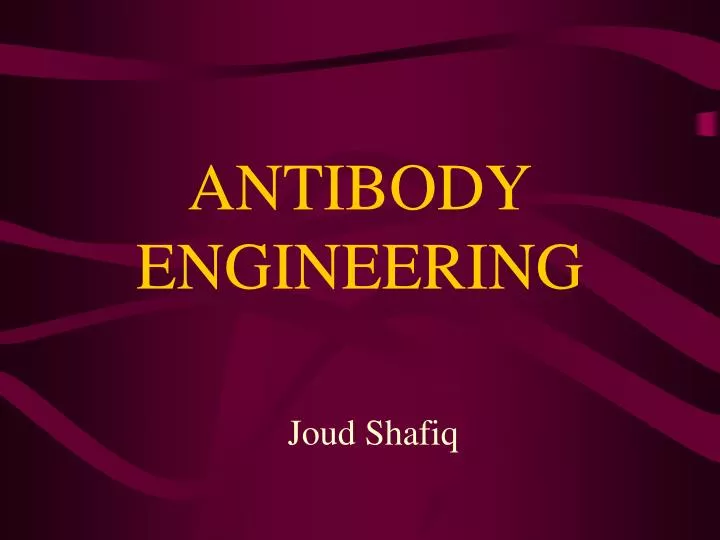 antibody engineering