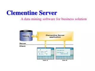 Clementine Server A data mining software for business solution