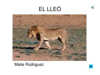 el lle