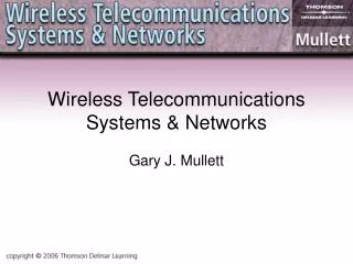 Wireless Telecommunications Systems &amp; Networks