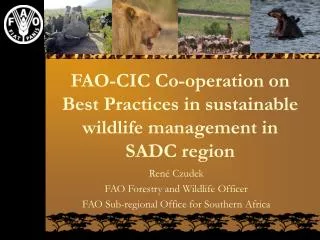 FAO-CIC Co-operation on Best Practices in sustainable wildlife management in SADC region