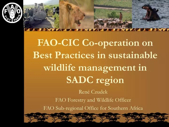 fao cic co operation on best practices in sustainable wildlife management in sadc region