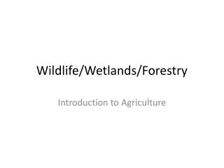 Wildlife/Wetlands/Forestry