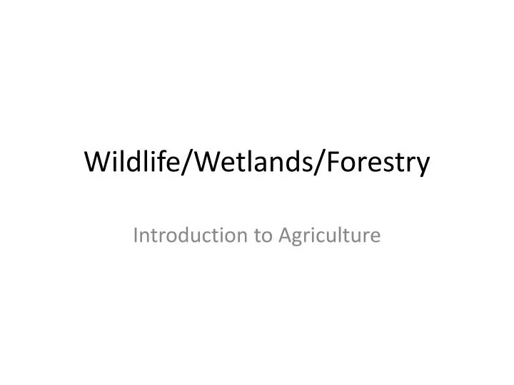 wildlife wetlands forestry