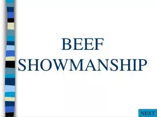 BEEF SHOWMANSHIP