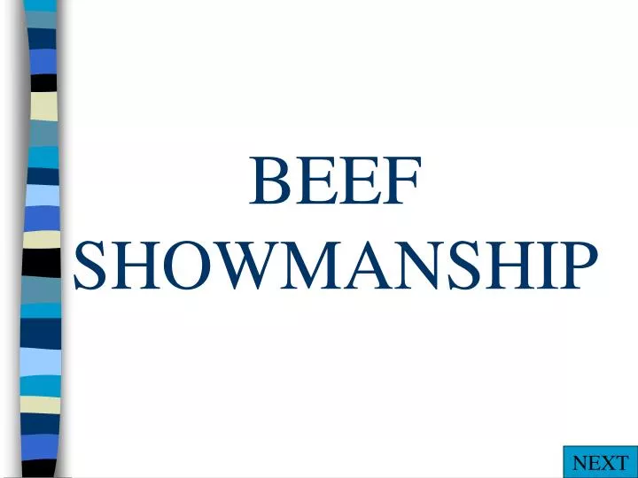 beef showmanship