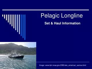 Pelagic Longline Set &amp; Haul Information