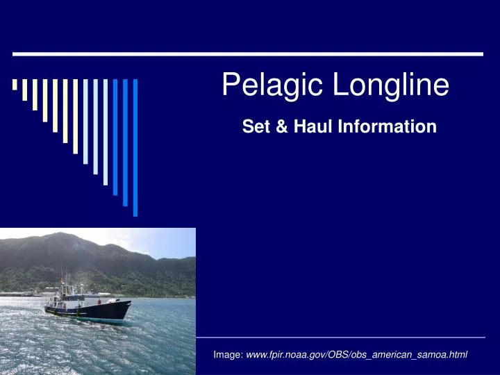 pelagic longline set haul information