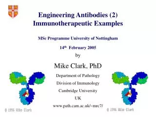 Engineering Antibodies (2) Immunotherapeutic Examples MSc Programme University of Nottingham 14 th February 2005
