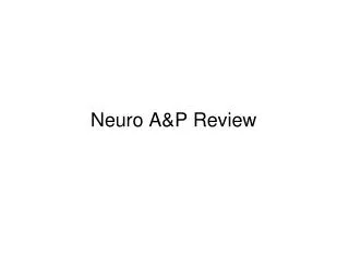Neuro A&amp;P Review