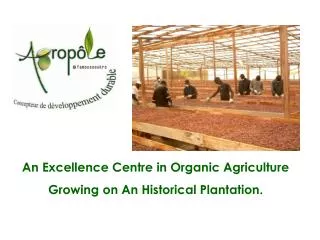 An Excellence Centre in Organic Agriculture Growing on An Historical Plantation.