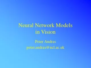 Neural Network Models in Vision