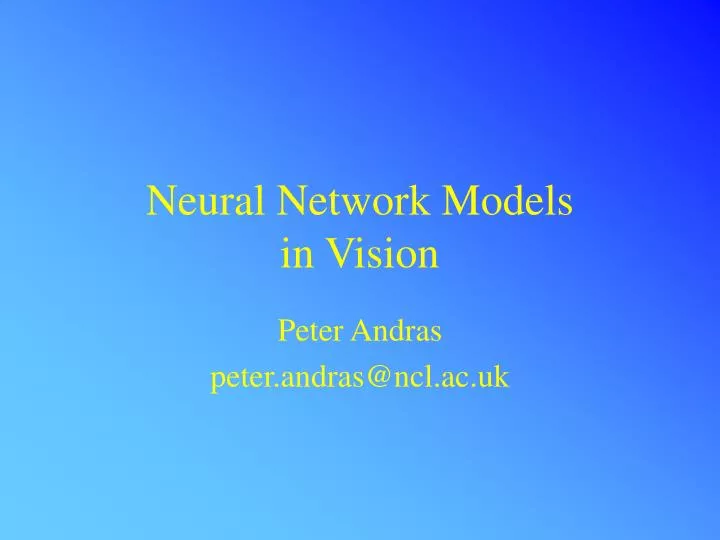 neural network models in vision
